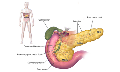 Non Cancerous Pancreatic Surgery